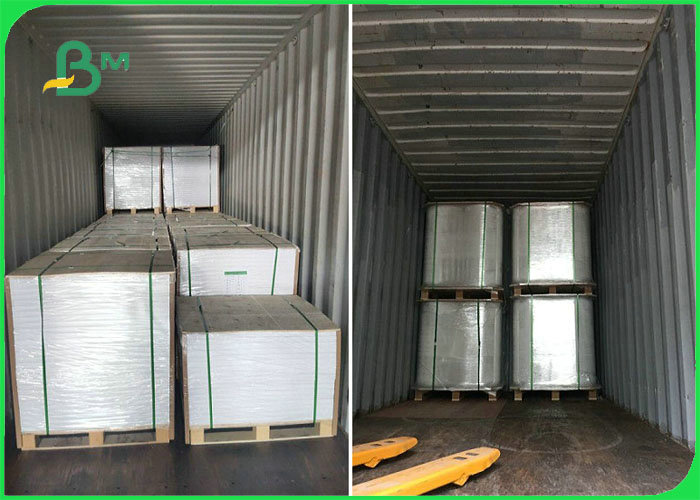 50gsm 60gsm 70gsm Oil - proof Single PE Coated Paper Roll For Packing Food 