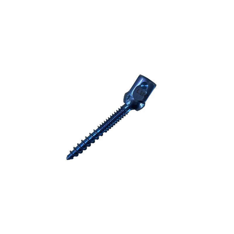 Internal Fixation Spinal Screws Implants U-Multi-Axial Break Off Customize