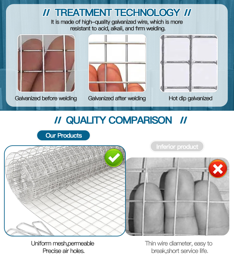 Electro Galvanized Welded Wire Mesh for Concrete Reinforcing 5.5x5.5 at Competitive