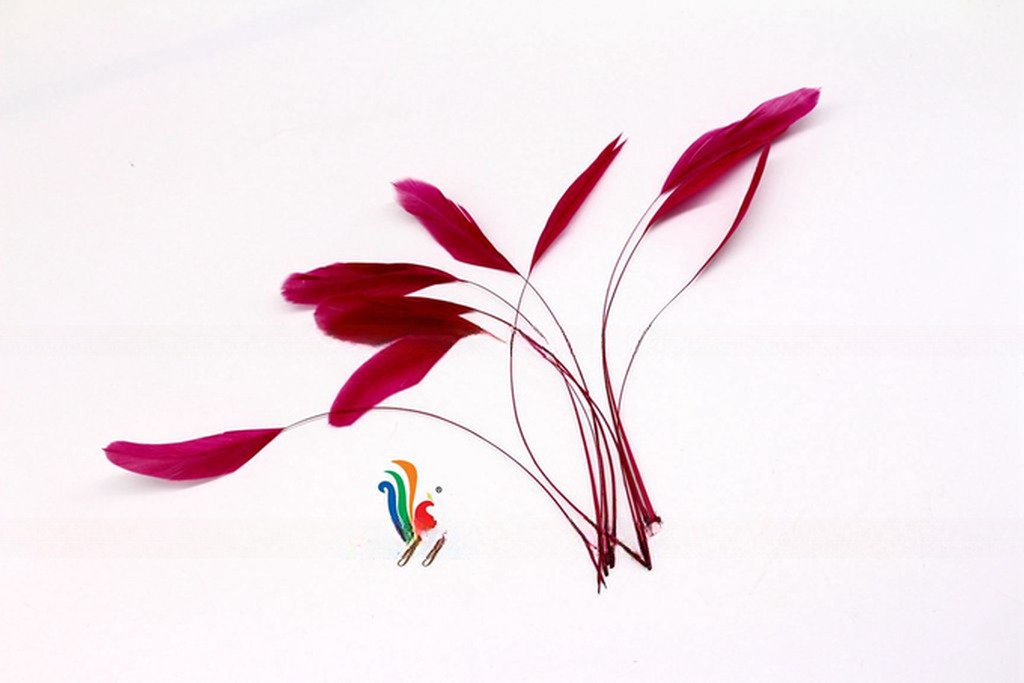 Dyed Pattern Party Decoration Stripped Rooster Coque Feather 12-14inch / 14-16inch
