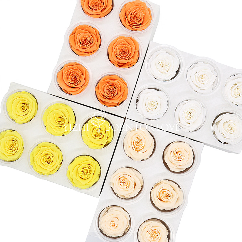 5-6cm Preserved Rose Heads For Home Decoration