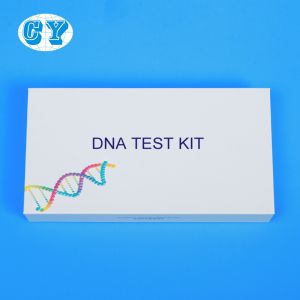 Gene Sequencing DNA Collection Kit Parent Child Relationship Detection Kit