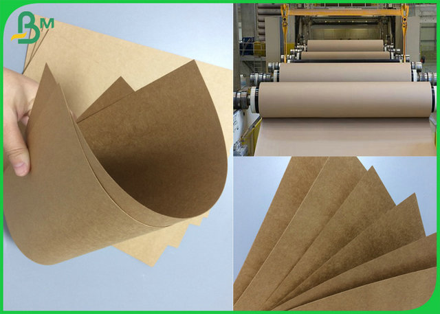 300gsm 350gsm 400gsm Foodgrade Kraft Liner Paper Sheet With 790mm 1500mm Width