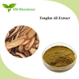  Natural Tongkat Ali Extract Brown Powder Eurycoma Longifolia Extract Manufactures