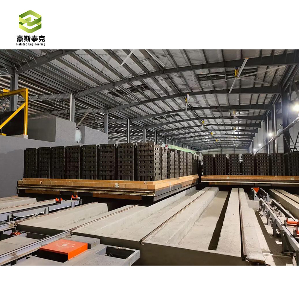 250000kg Brick Burning System Tunnel Kiln Energy Saving Efficient