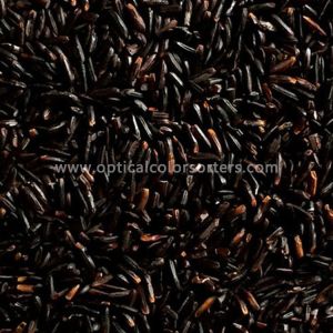 High Output CCD Rice Sorting Machine 8 Chute Intelligent Operation Interface