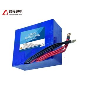  12 Volts 30Ah Lithium Rechargeable 2000 Cycles Power Battery Packs Manufactures