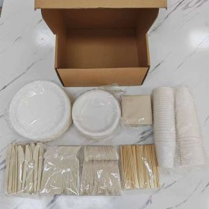 100% biodegradable Paper Tableware Sugarcane Bagasse Disposable Plates Sets