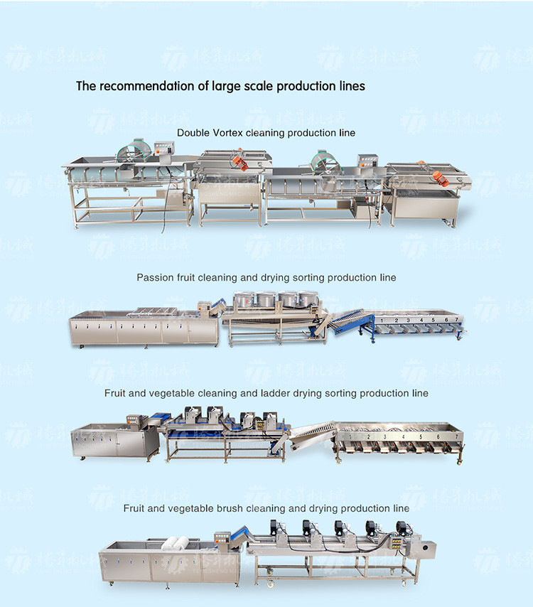 150KG 380V Lemon screening and grading machine stainless steel fruit sorting machine citrus fruit sorting machine