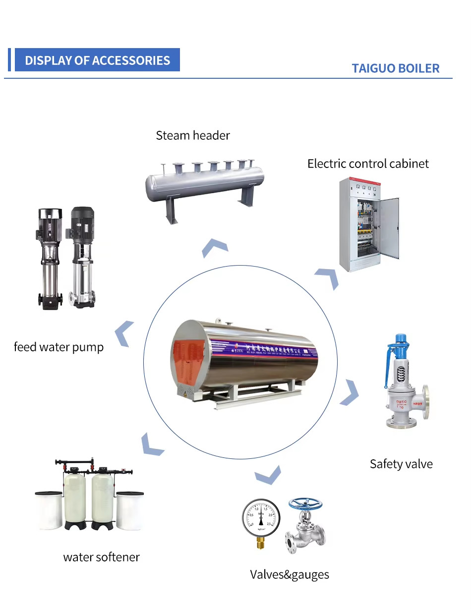 High Thermal Efficiency WDR 700kg Electric Heating Steam Boiler For Food Processing
