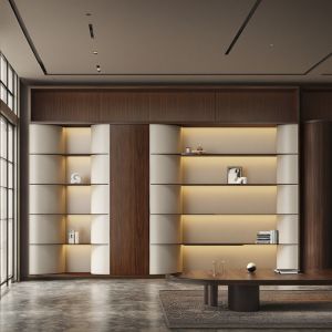 customization atmospheric，luxurious，office data cabinet，multi-layer floor to