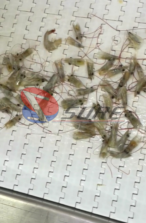 Peeling And Grading Shrimp Processing Machine Drum Type Shrimp Head Remover