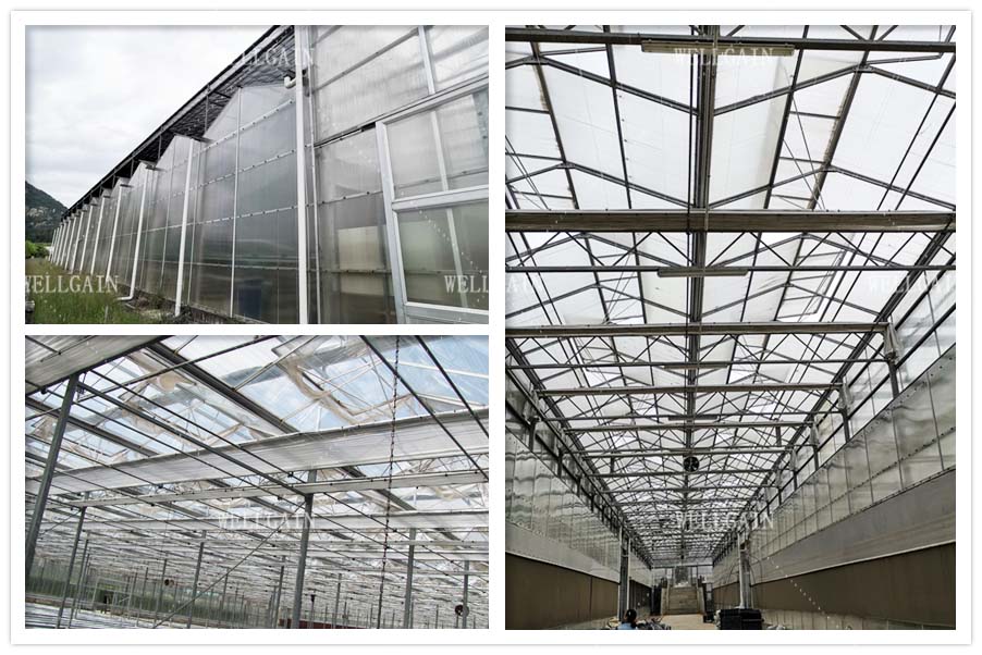 Heavy Duty Smart Cultivation Polycarbonate Greenhouse Automated Hydroponic Greenhouse