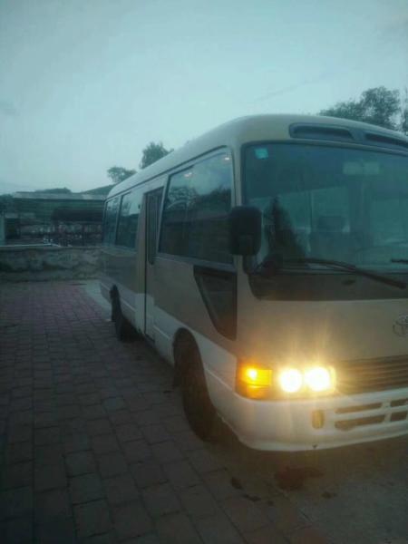 TOYOTA engine Used Toyota Coaster Bus Optional Color Blue White Brown Goldecheap