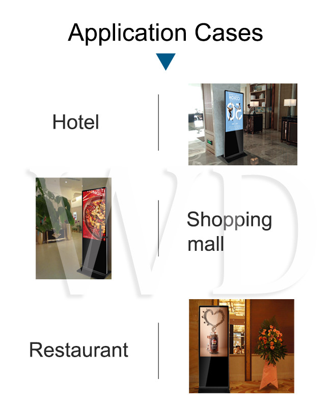 Windows 10 55 Inch LCD Indoor Digital Signage Monitor For Advertising