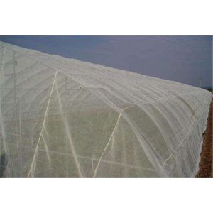 50 * 25 Mesh Anti Insect Mesh 165g / M2 Hdpe Material High Tenacity