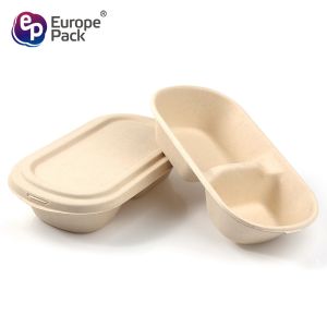Disposable sugarcane bagasse 850ml, 1000ml 2 compartments food container with
