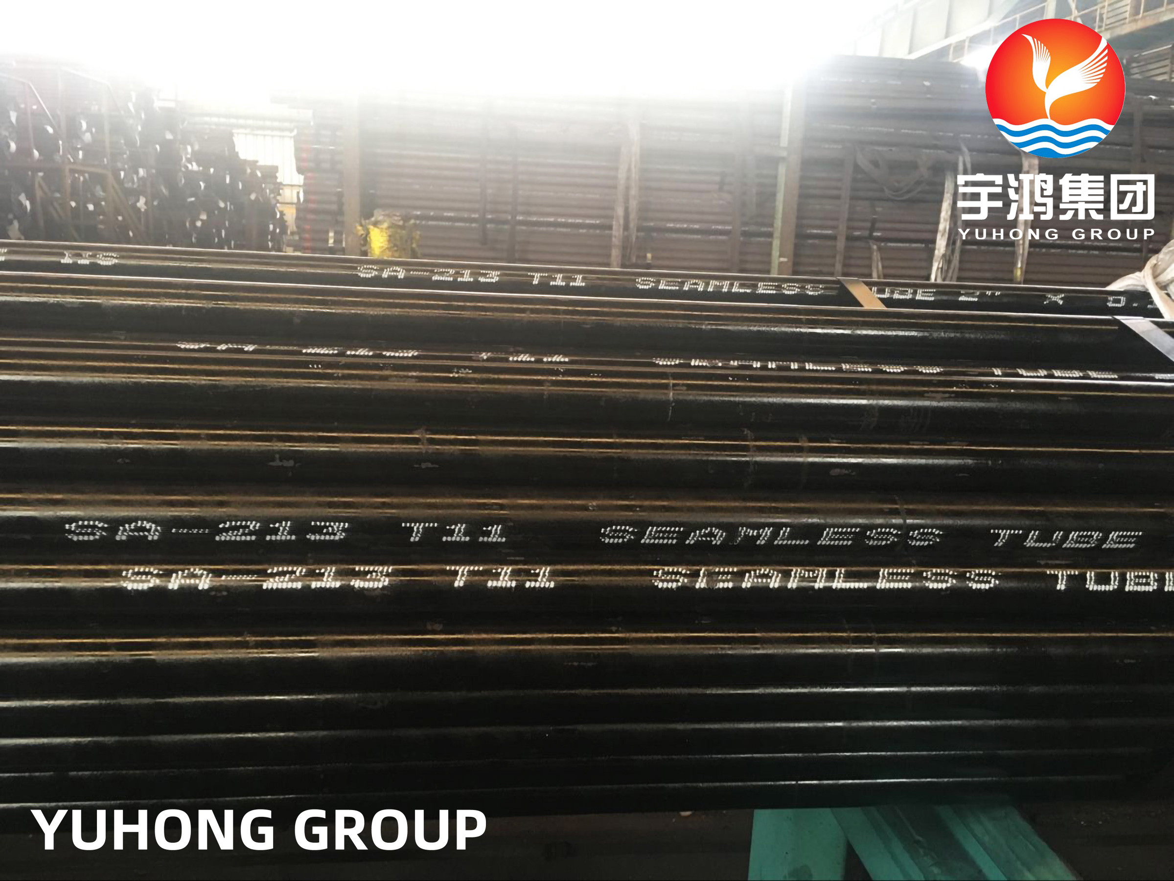 Alloy Steel Seamless Tube ASME/ASTM A213 T11, T12, T22, T5, T9, T91 Boiler Tube