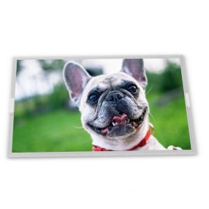  High Resolution 7.0-Inch A070VW08 V2 TFT LCD Panel 800*480 Touchscreen LCD Module Manufactures