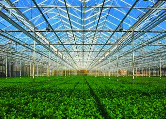 Environmental Low Pressure Steam Boiler , Gas Steam Furnace For Greenhouse
