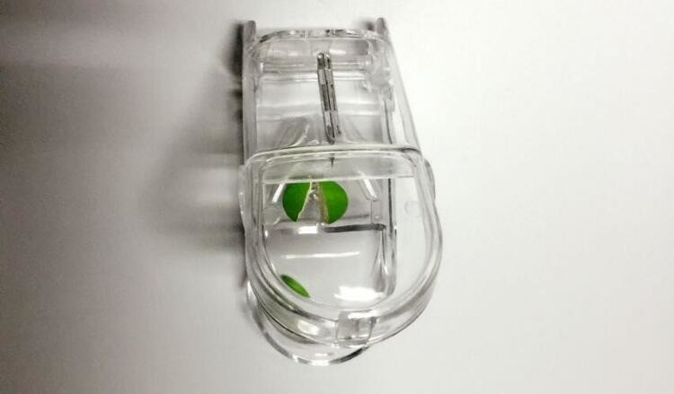 Portable Creative style foldable travel plastic cup with pill case, Random color creative travel cup with pill case for
