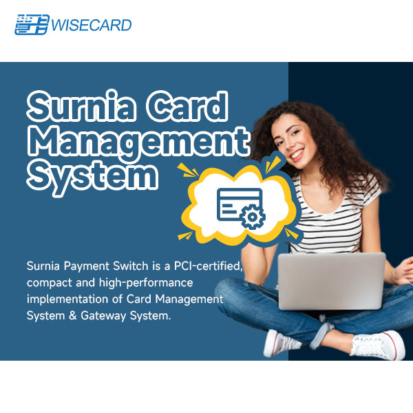  Secure Secure Card Management With Enhanced GUI Web Based Security Encrypted Transactions Manufactures