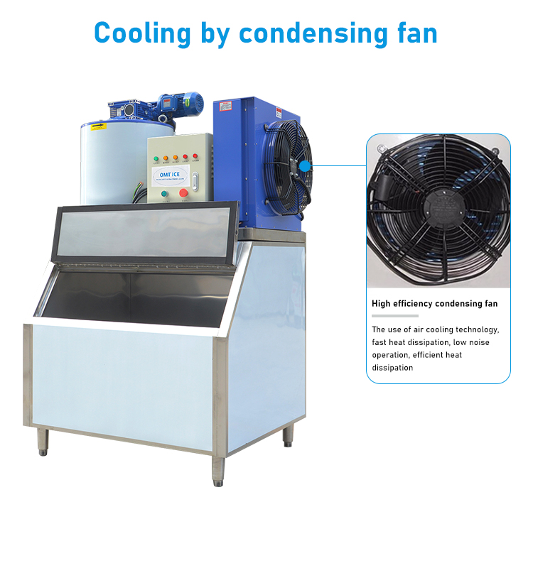 Directly Supplies 2t Flake Ice Maker Machine for Morocco Food Beverage Shops
