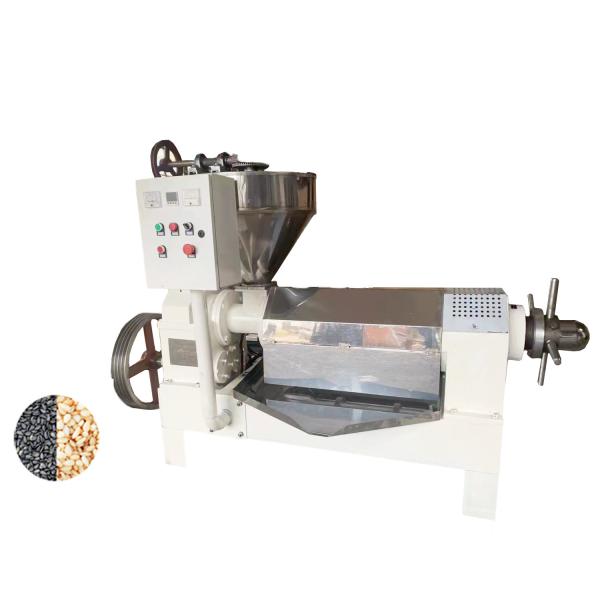 Industrial Cold Press Oil Extractor , Cold Press Oil Extraction Machine Multi