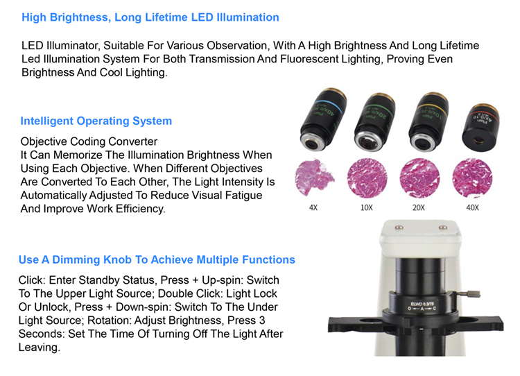 OPTO EDU A14.1063 Inverted Optical Microscope , Phase Contrast Microscope Magnification 4x