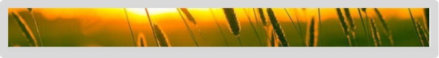 China 51 Pin Bar Type LCD Display 47.1 3840x160 IPS Lvds LCD Display on sale