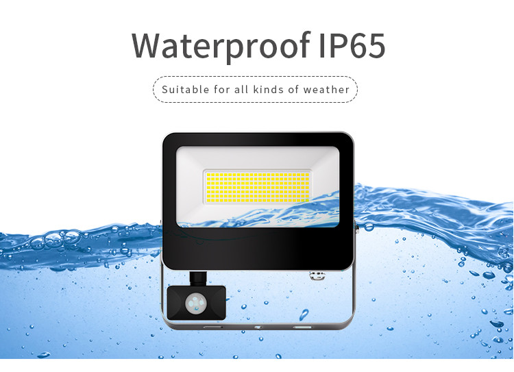 Security Spotlight IP65 Waterproof Hot Sale Led Flood Light Aluminum Housing With Motion Sensor For Garden Street Wall