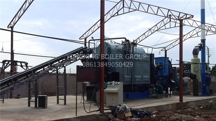 DZL Chain Grate Stoker Coal Fired Steam Boiler For Food Factory 6 TON