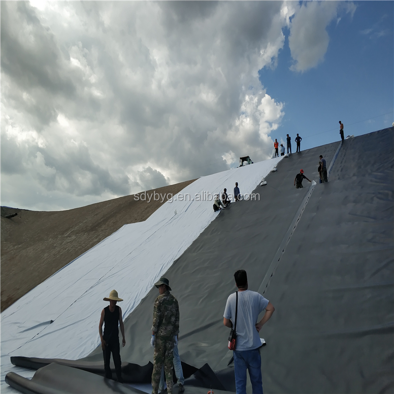Customized 1.0mm HDPE Geomembrane Pond Liner for Shrimp Ponds and Dam Construction