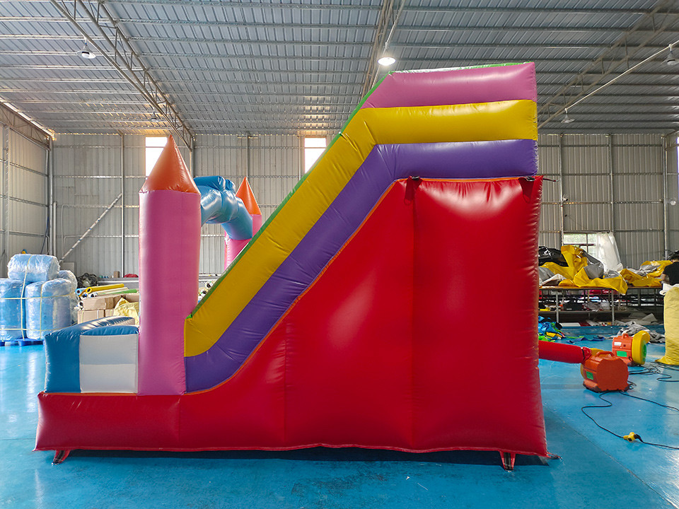 SGS Commercial Inflatable Water Slides Cartoon Themed Infant Bounce House Blow Up Jump House