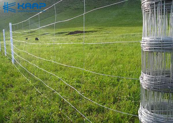 Stainless Steel Woven Wire Mesh Screen Fabricated Parts Round Sieves Chemical