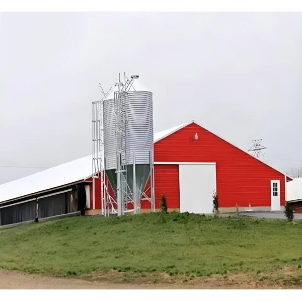 Quality Q235B Q355B Carbon Steel Poultry House Prefabricated Steel Structure for sale