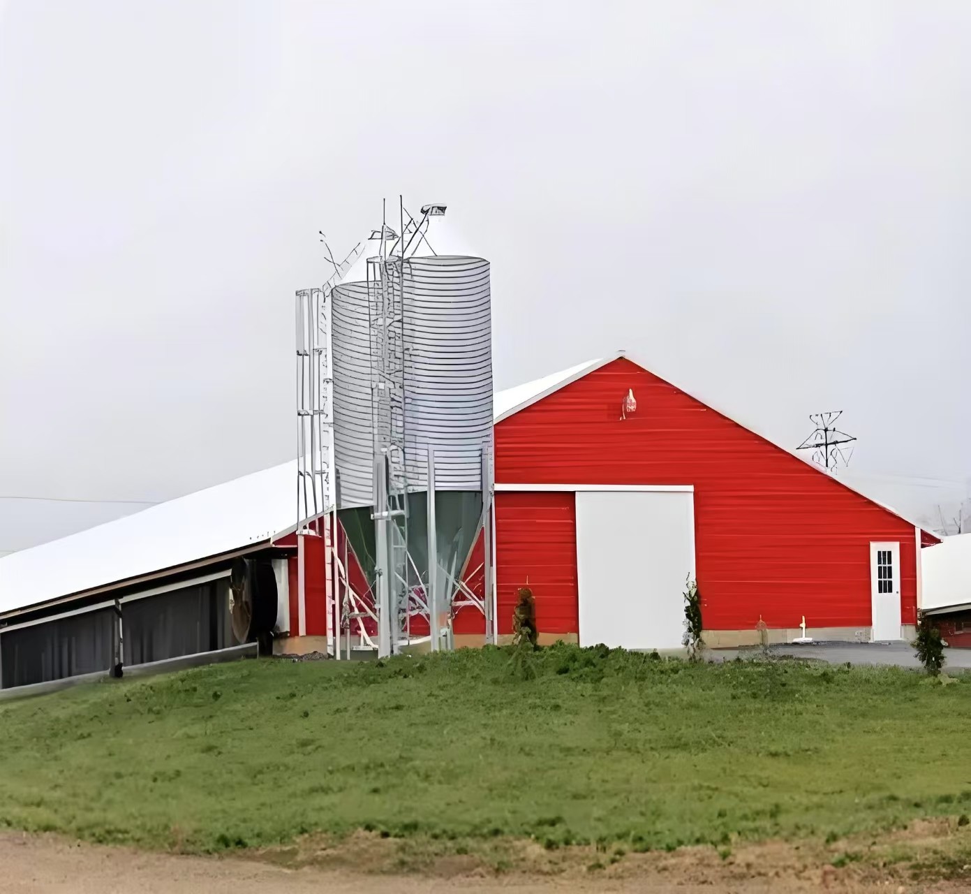 Poultry Steel Frame Prefab House Automatic Broiler Chicken Farming Equipment