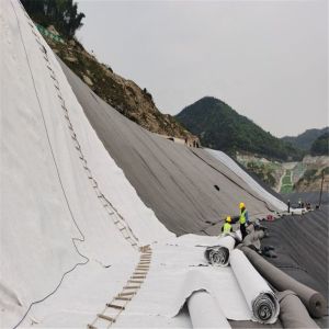 1.0-2.0mm HDPE Geomembrane Liners for Waterproof Landfill Projects in White