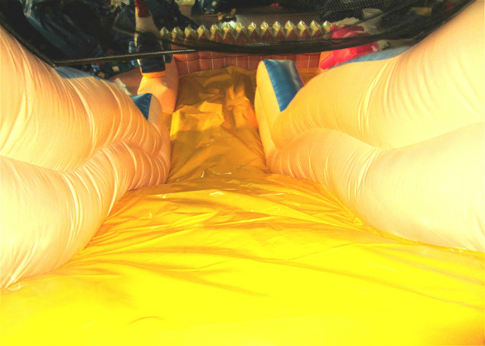 Inflatable the farm themed standard dry slide top inflatable dry commercial slide for children under 15 years