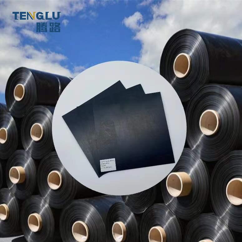 Double Smooth Geomembrane 0.5mm/0.75mm for Fish Shrimp Pond GB/ASTM GRI-GM13 Standard