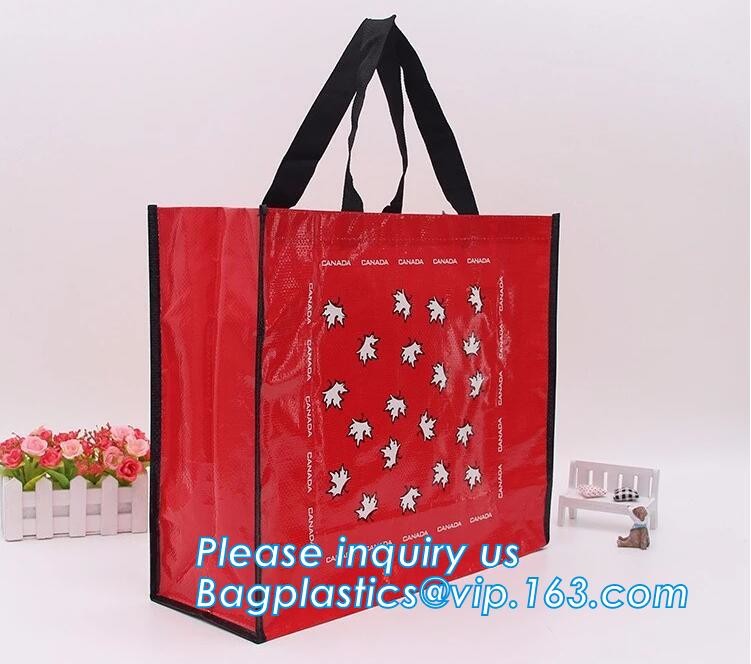 Custom Huge Luggage PP Woven Bag With Zipper Lock,PP Woven Shopping Bag,Factory customized cheap laminated pp woven shop