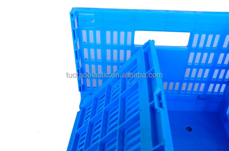 Foldable and Collapsible Egg Crate Meshy Box for Convenient Egg Transportation Solutions