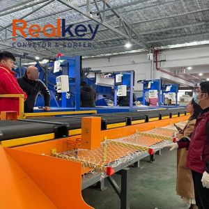 Low Noise Advanced Cross Belt Sorter System Efficient Sorting