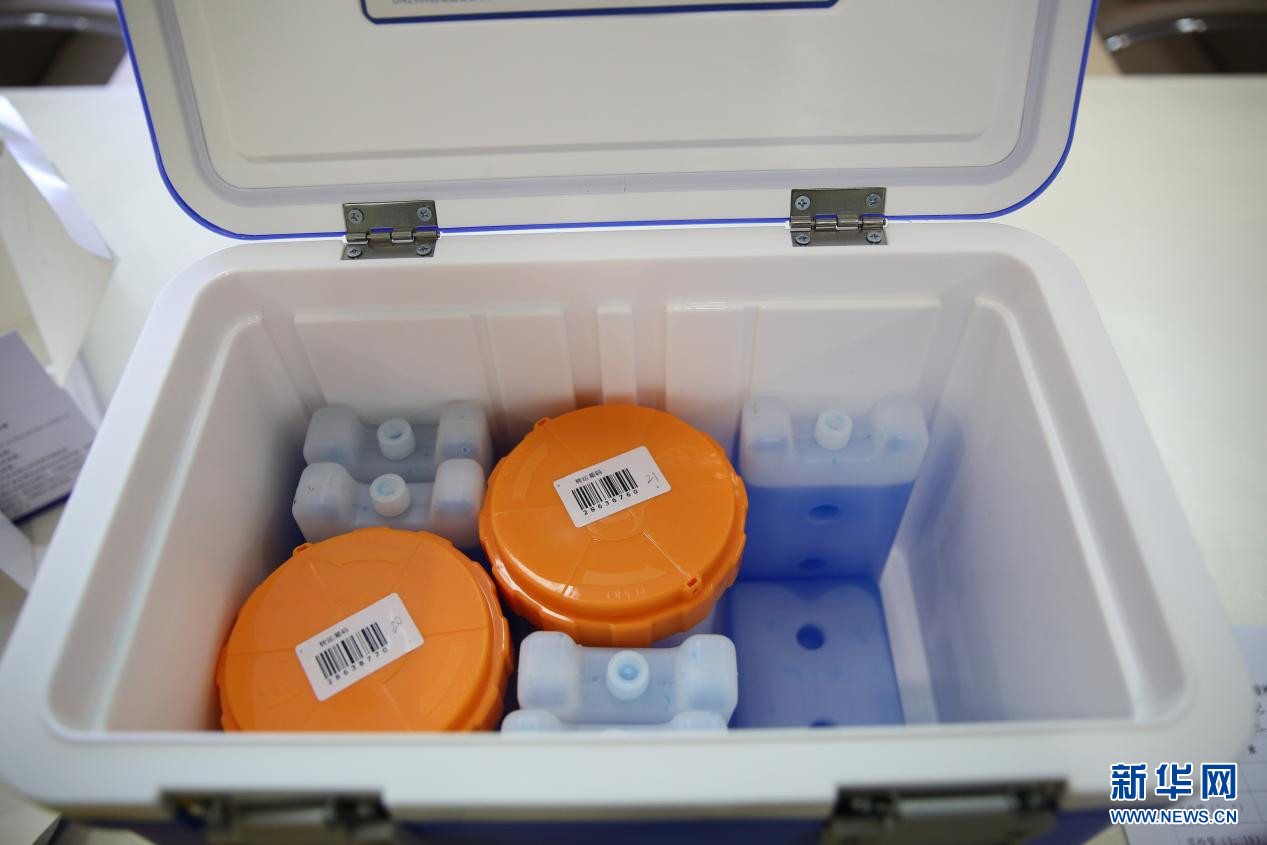 Vaccine Cold Transportation UN2814 Box Medical Grade Biological Cooler Box