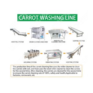 Bamboo shoot processing equipment vegetable processing line