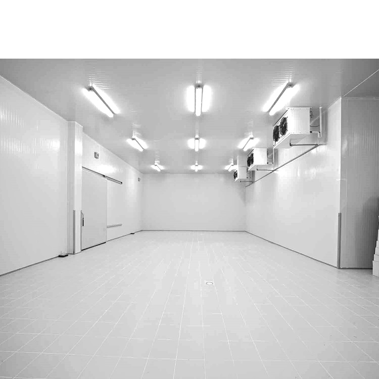The best quality large-capacity cold storage in the factory