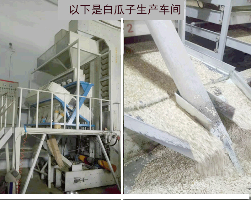 Anti Cancer Roasted Seeds And Nuts Pumpkin Kernel Type 7.5% Max Moisture