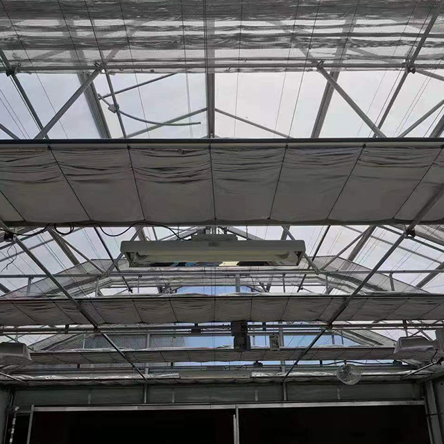 Stable Structure Good Shading Effect Heat Preservation System by LiTai Greenhouse