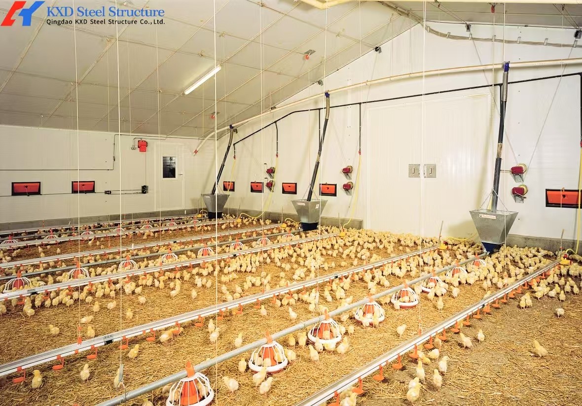 Steel Structure Plant Warehouse Poultry House Commercial Building Steel Structure