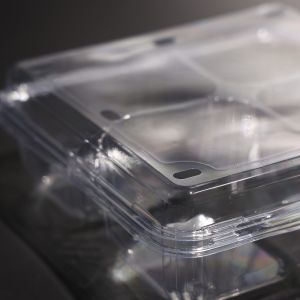 Eco Friendly 4-compartment Leak Proof Rectangular Disposable Plastic Food